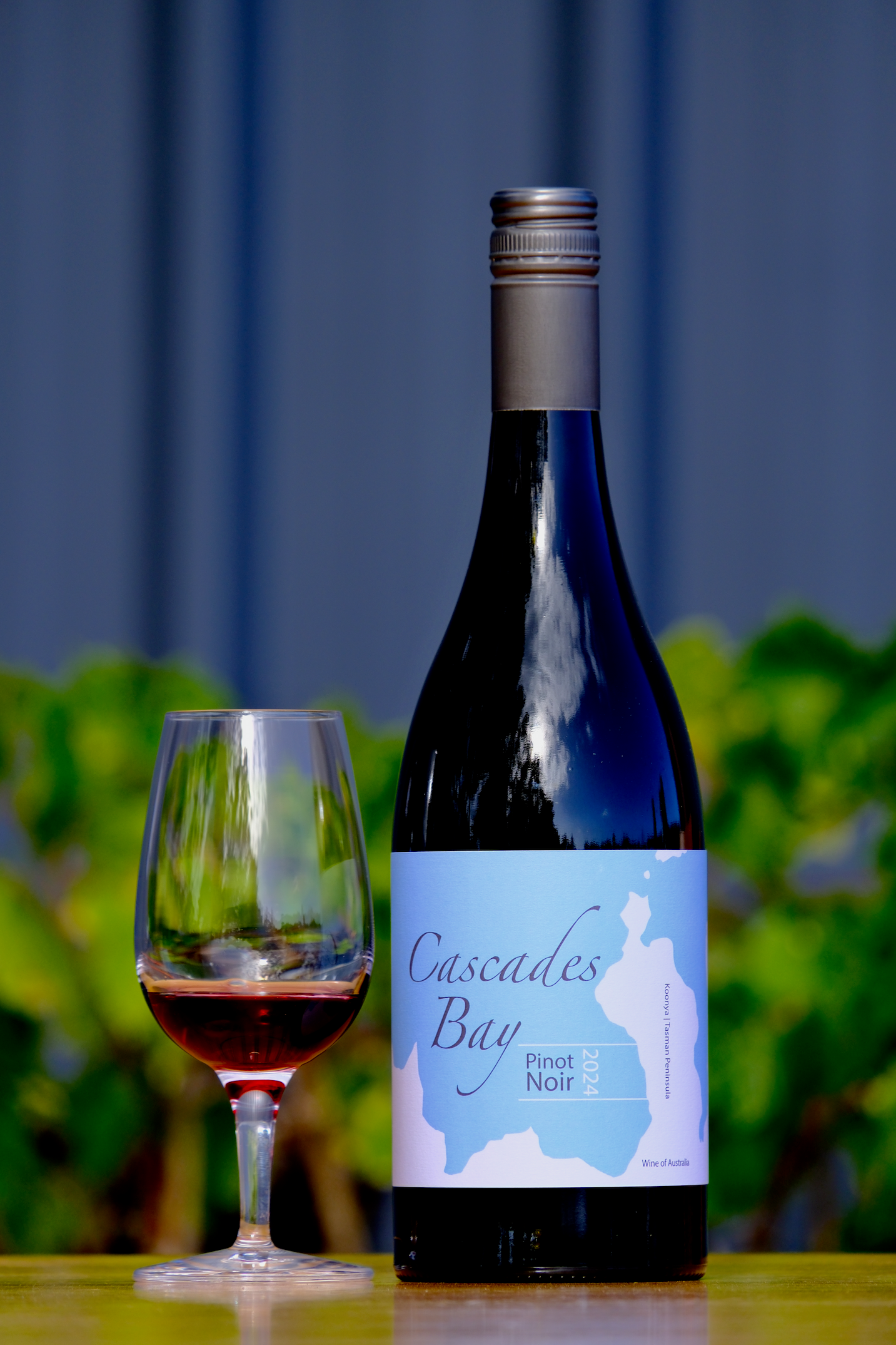 2024 Pinot Noir