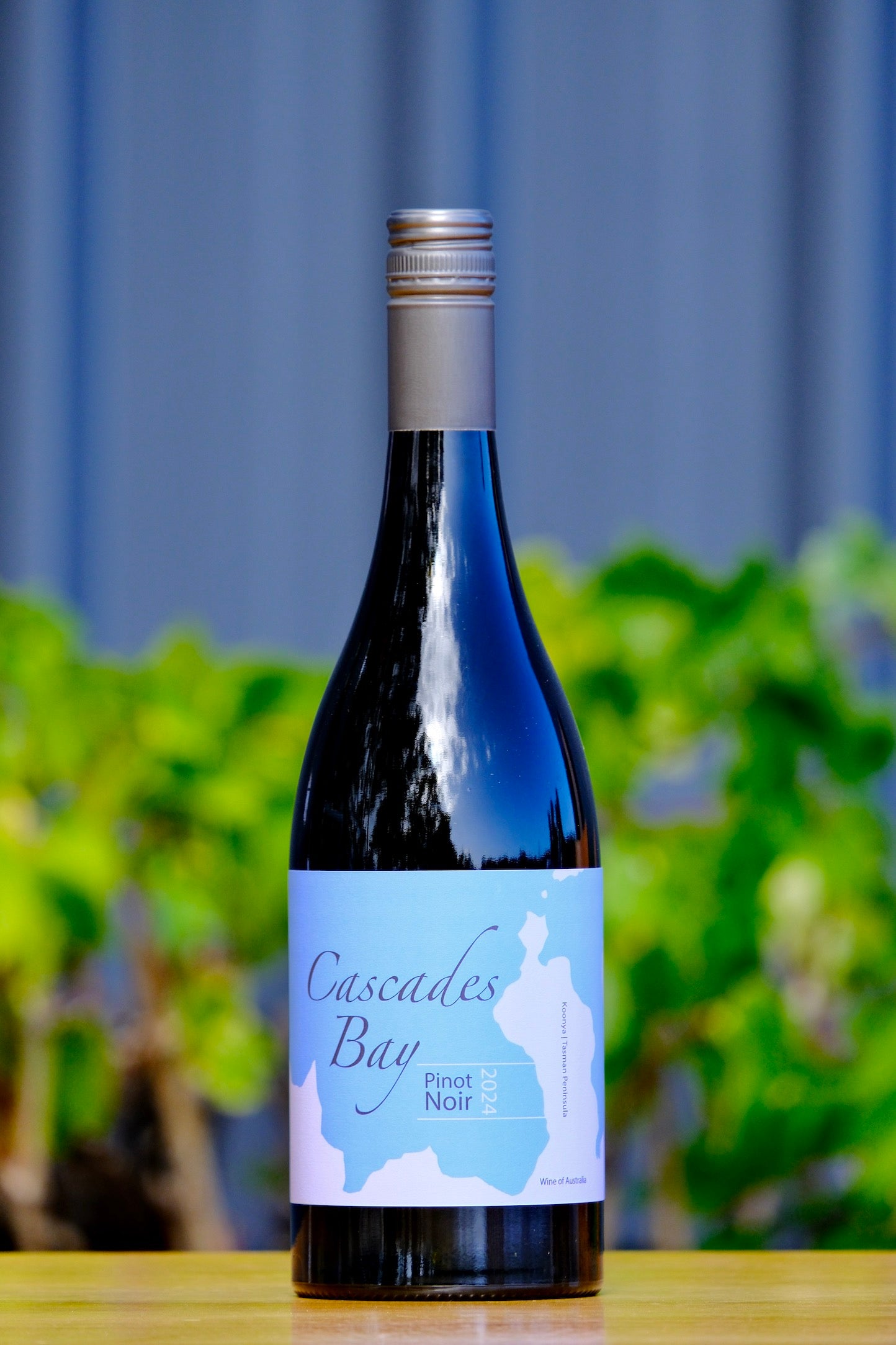 2024 Pinot Noir