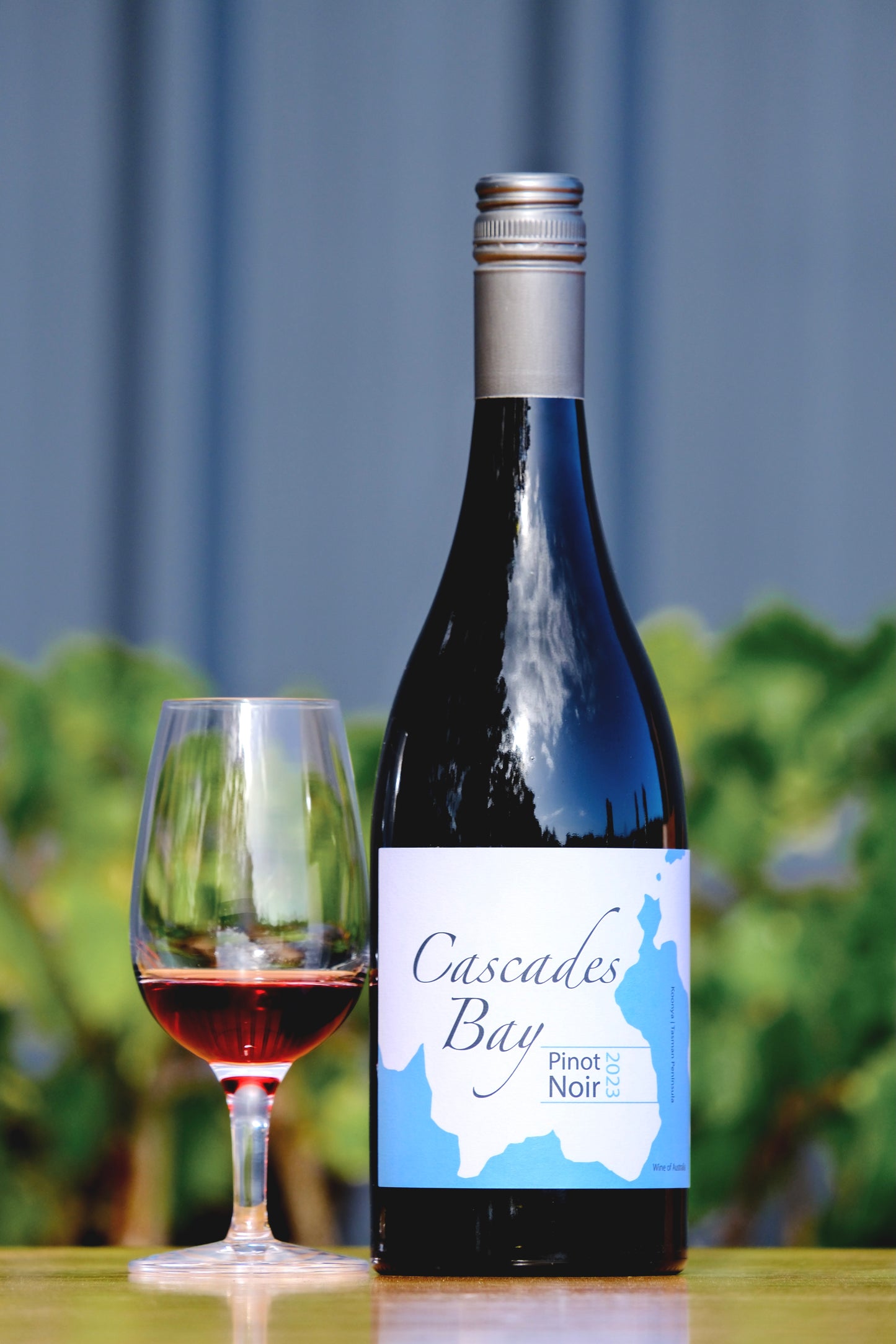 2023 Pinot Noir