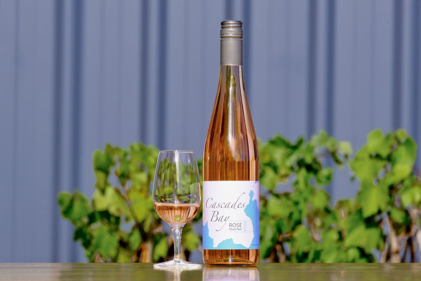 2024 Pinot Rosé