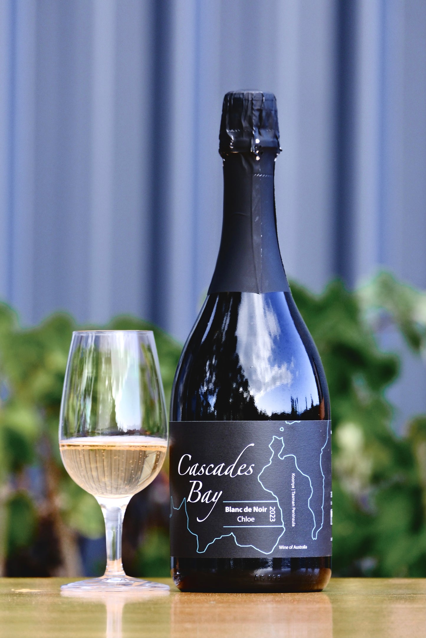 2023 Blanc de Noir Sparkling 'Chloe'