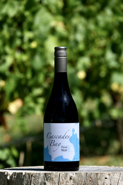 2023 Pinot Noir