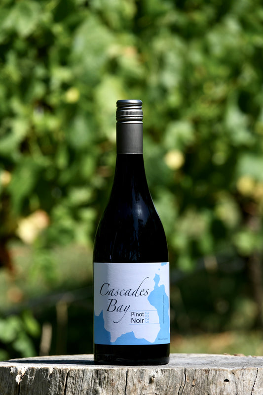 2023 Pinot Noir