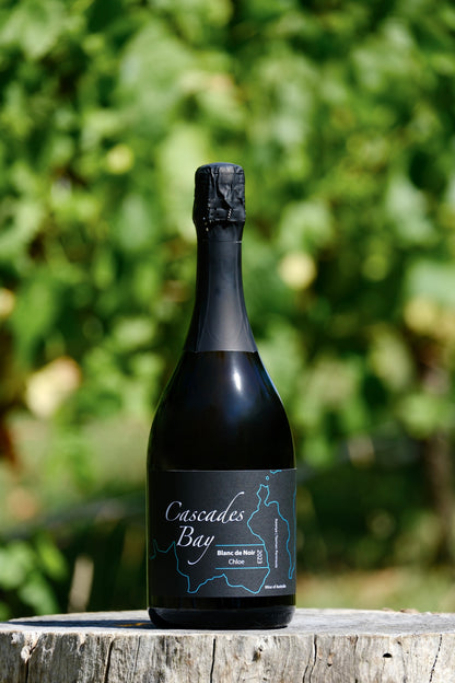 2023 Blanc de Noir Sparkling 'Chloe'