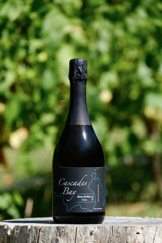 2023 Blanc de Noir Sparkling 'Chloe'