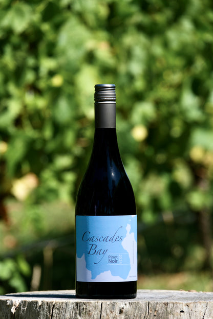 2024 Pinot Noir