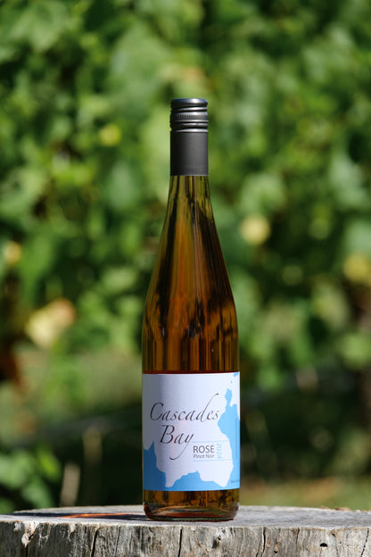 2024 Pinot Rosé