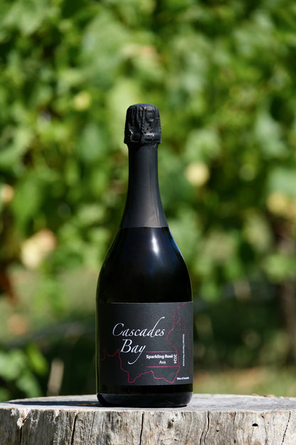 2024 Sparkling Rosé 'Ava'