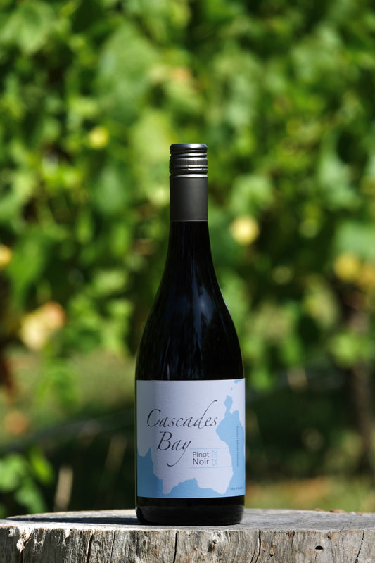 2025 Pinot Noir