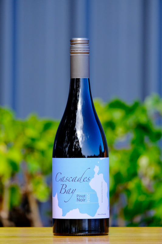 2024 Pinot Noir