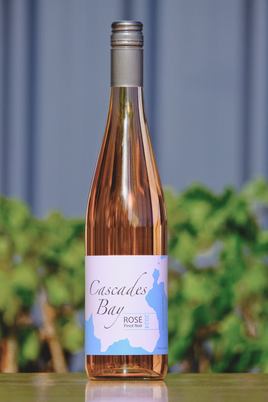 2024 Pinot Rosé