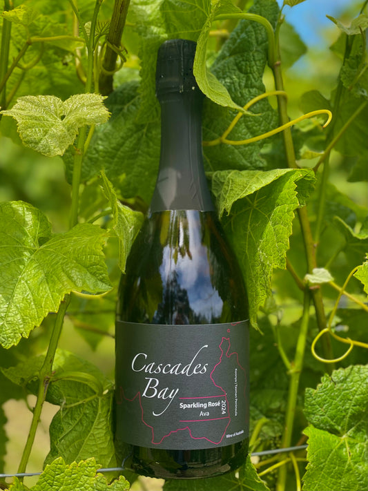 2024 Sparkling Rosé 'Ava'